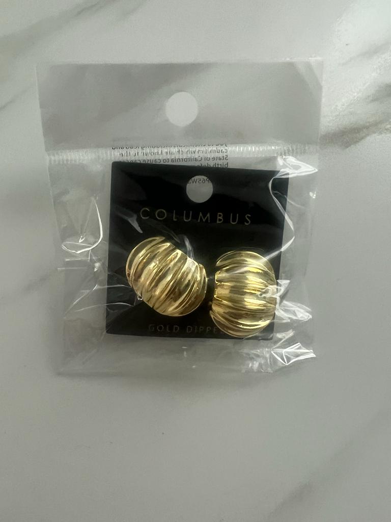 Circle Gold Dipped Earring
