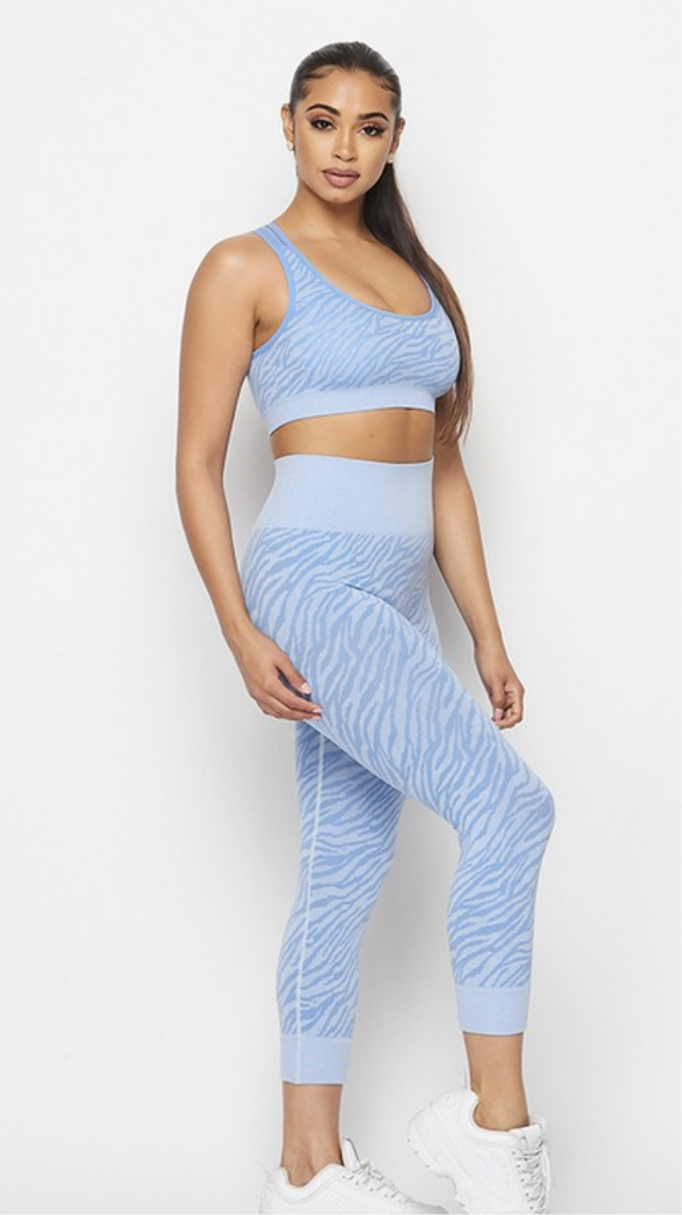 Zebra active