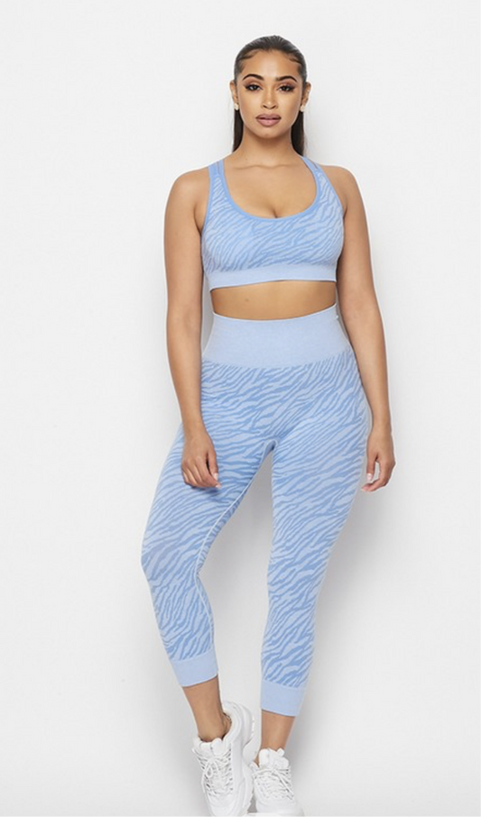 Zebra active