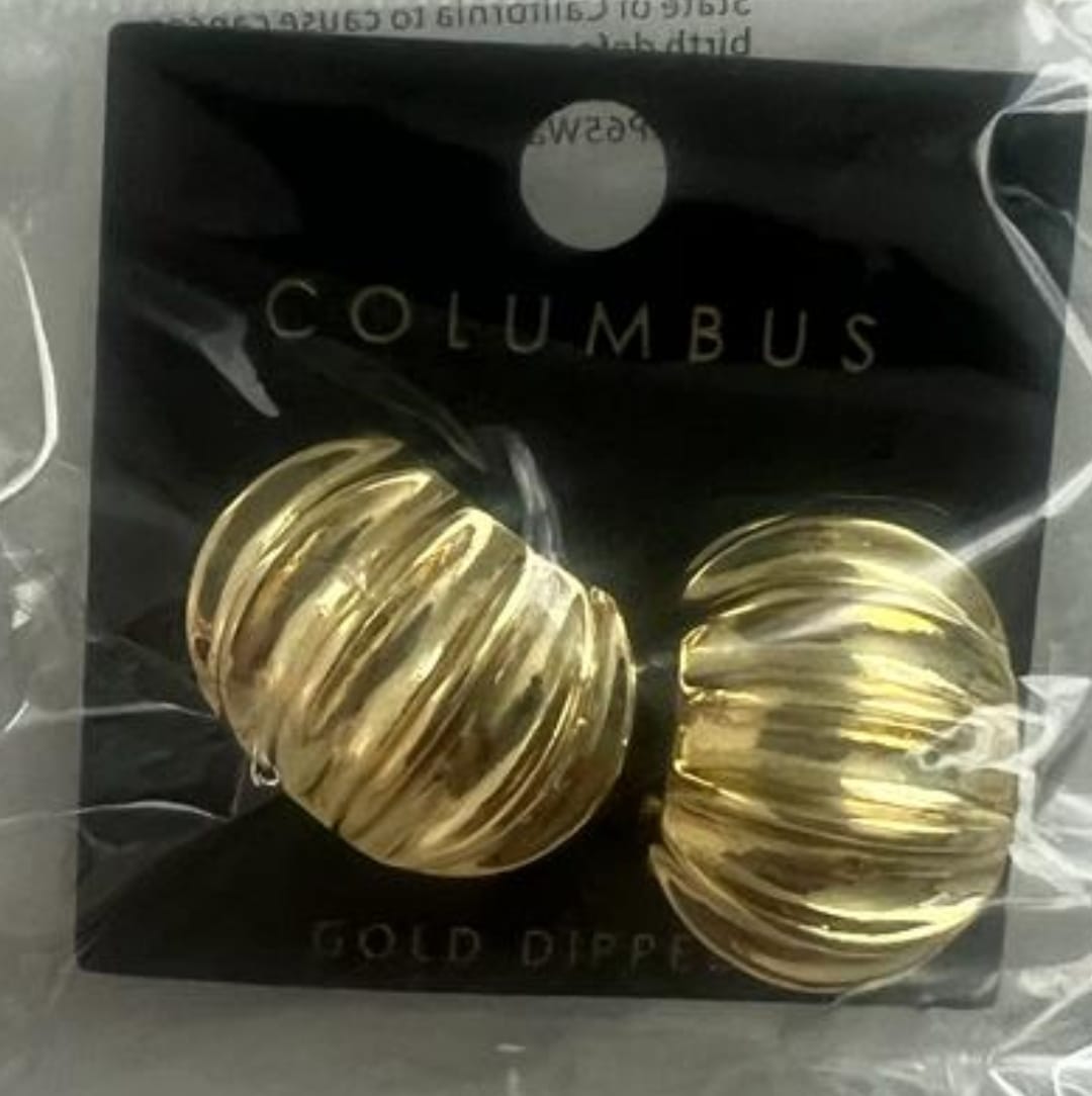 Circle Gold Dipped Earring